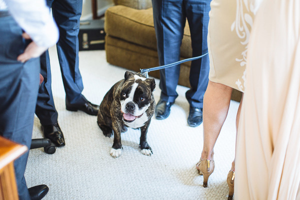hip-backyard-wedding