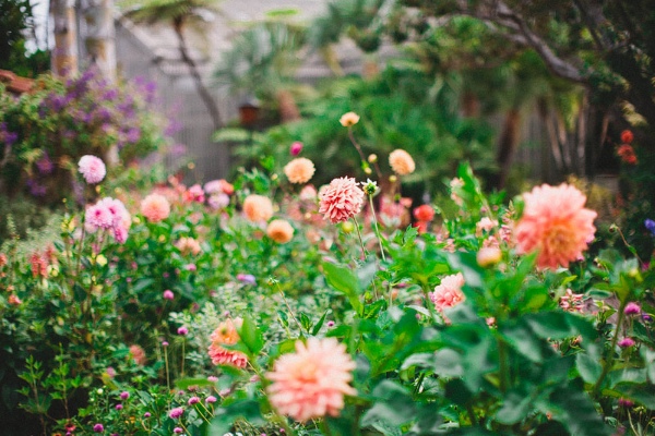 keep-it-natural-with-a-garden-wedding