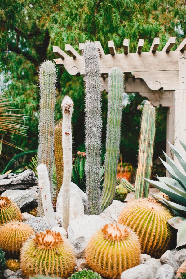 keep-it-natural-with-a-garden-wedding
