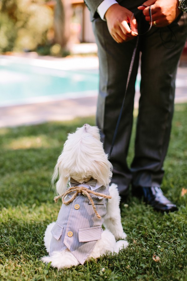 lavender-burlap-and-twine-wedding