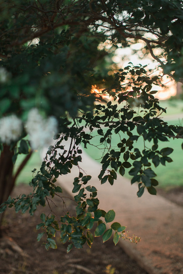 oklahoma-peach-and-mint-succulent