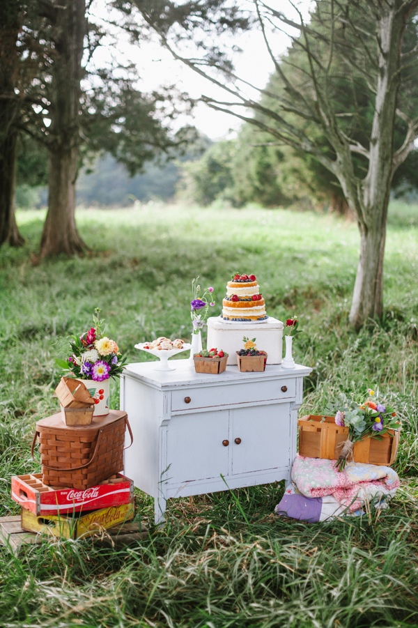 picnic-wedding-for-two