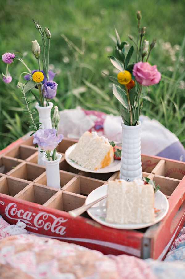 picnic-wedding-for-two
