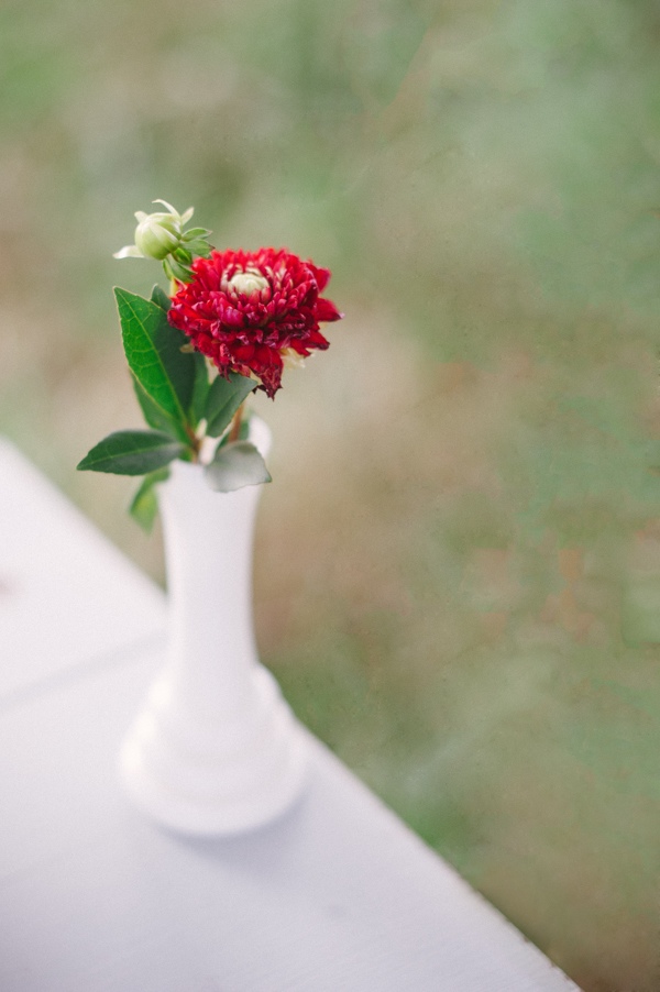 picnic-wedding-for-two