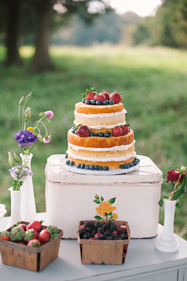 picnic-wedding-for-two