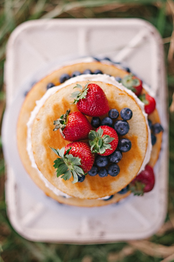 picnic-wedding-for-two