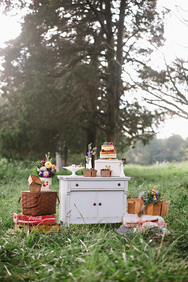 picnic-wedding-for-two