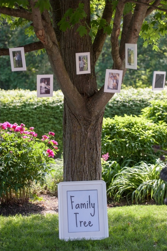 family tree wedding photo display
