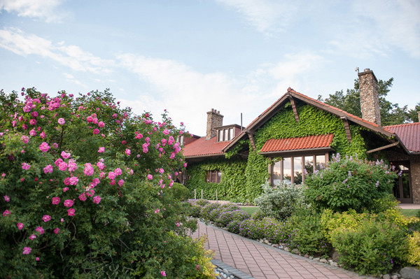 pink-patterned-garden-wedding