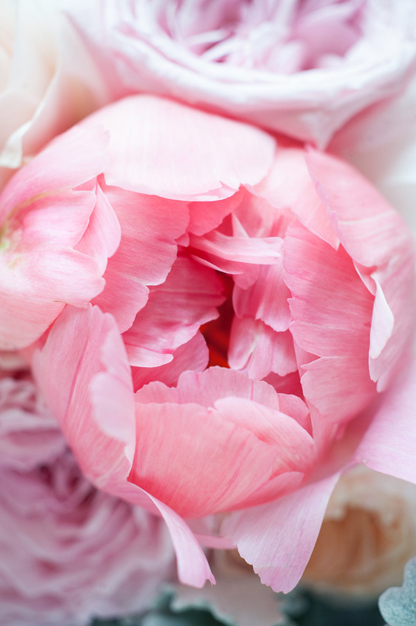 pink-patterned-garden-wedding