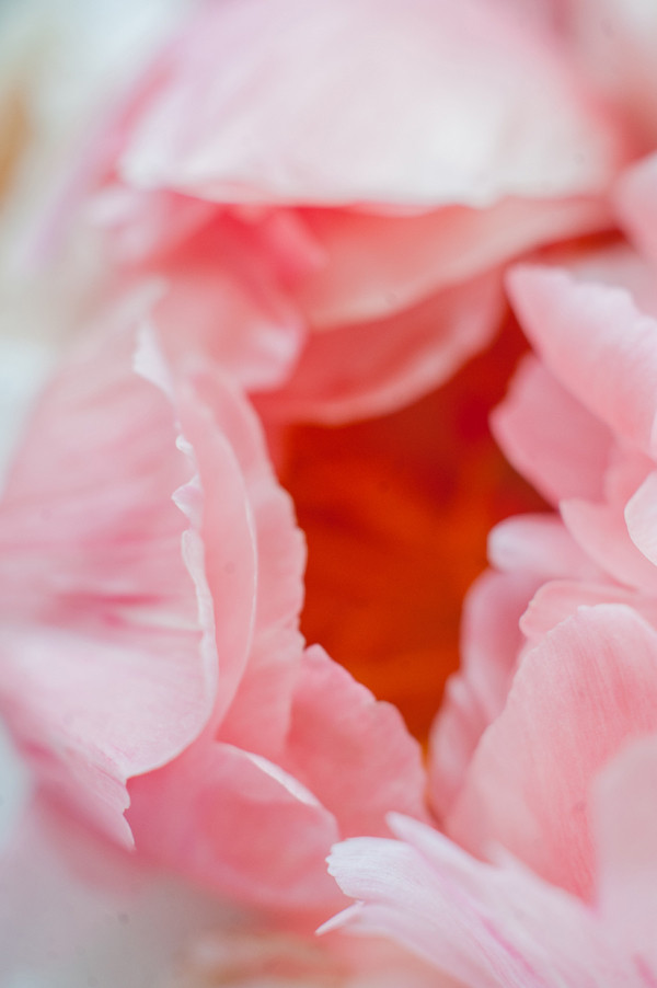 pink-patterned-garden-wedding