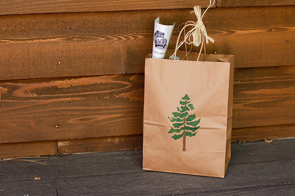 rustic-mountain-wedding