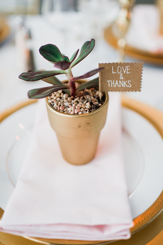 love and thanks succulent favors