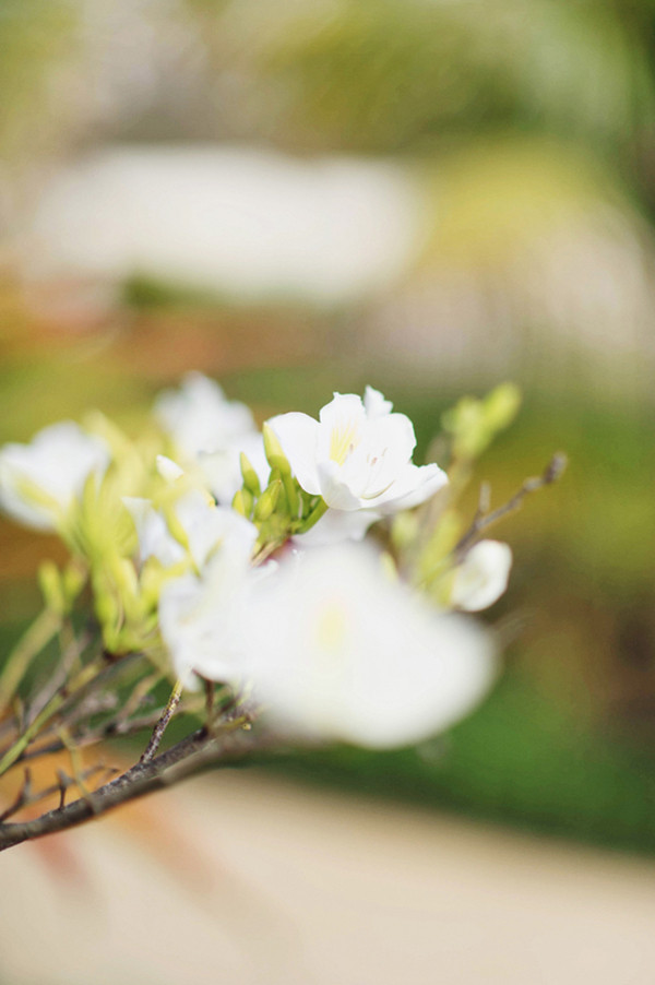 soft-and-romantic-wedding-at-st-regis