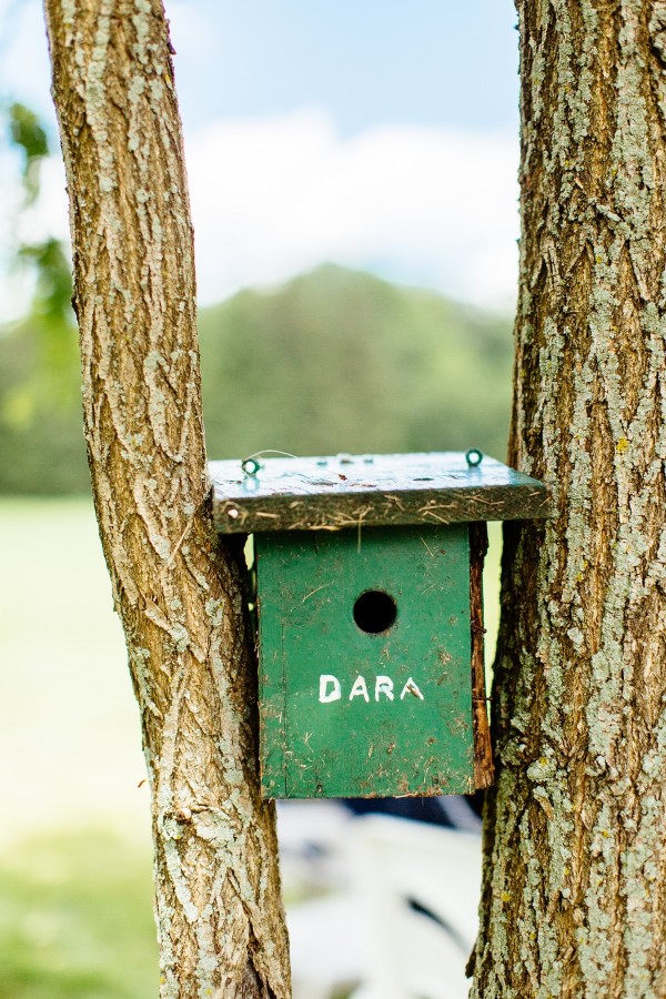 sweet-and-simple-backyard-wedding