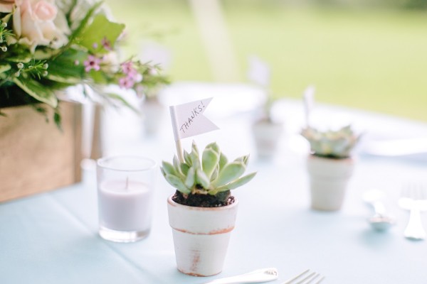 sweet-and-simple-backyard-wedding
