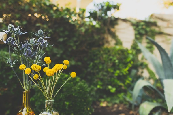 diy-playful-garden-wedding