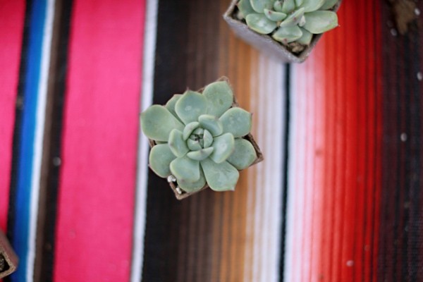 floral-filled-southwestern-wedding