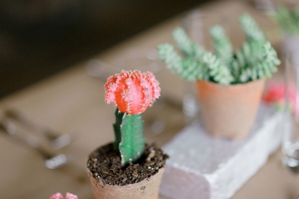 floral-filled-southwestern-wedding
