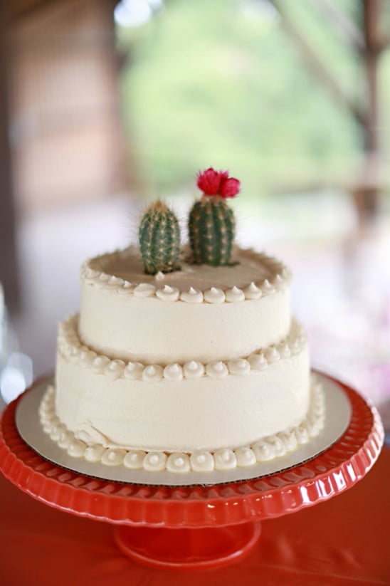 cactus topped wedding cake