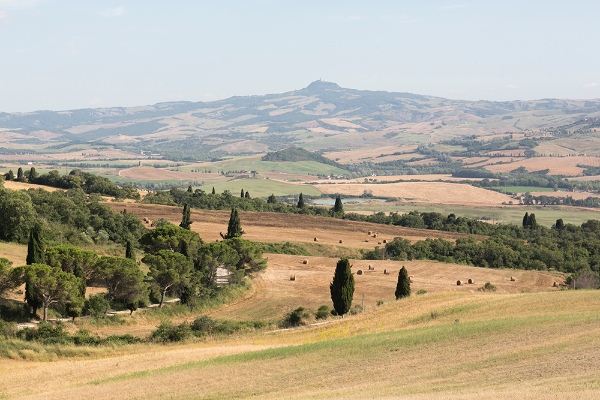 italian-wine-country-wedding