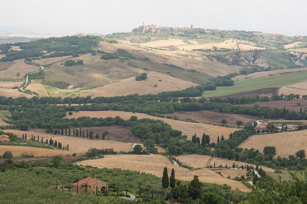 italian-wine-country-wedding