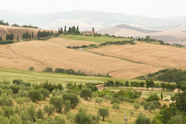 italian-wine-country-wedding