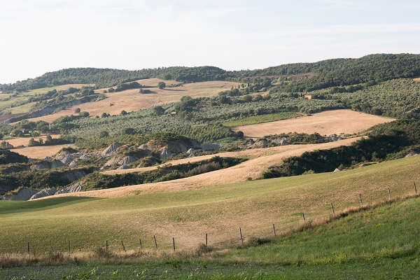 italian-wine-country-wedding
