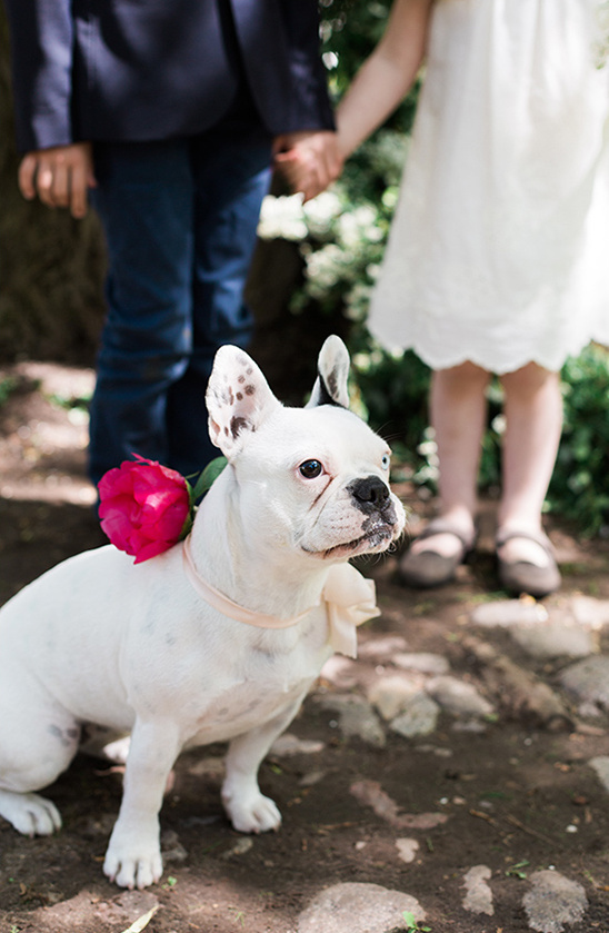 Adorable French bulldog in flower collar with children