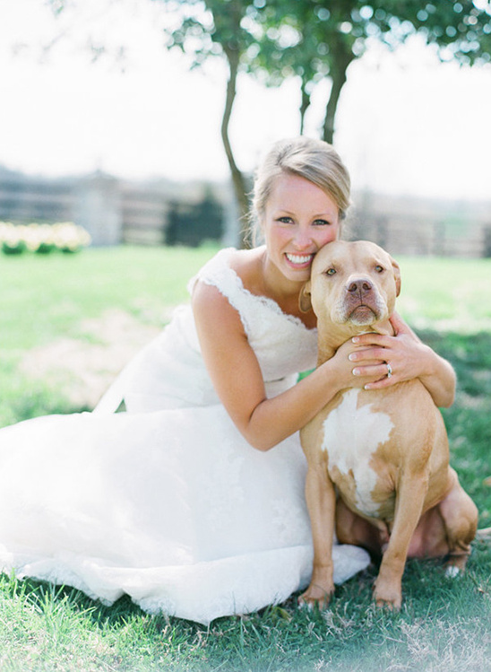 Bride hugging her adorable tan pit bull dog outdoors