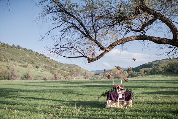 pink-and-fuchsia-outdoor-wedding-ideas