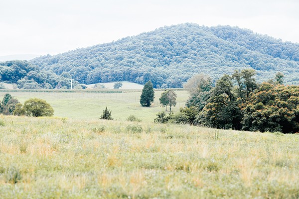 soft-estate-wedding-ideas