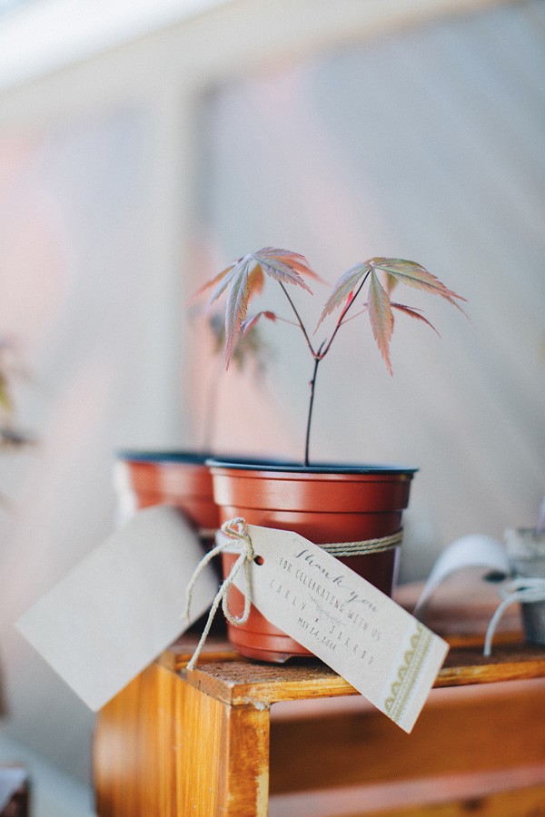 stunning-michigan-summer-wedding