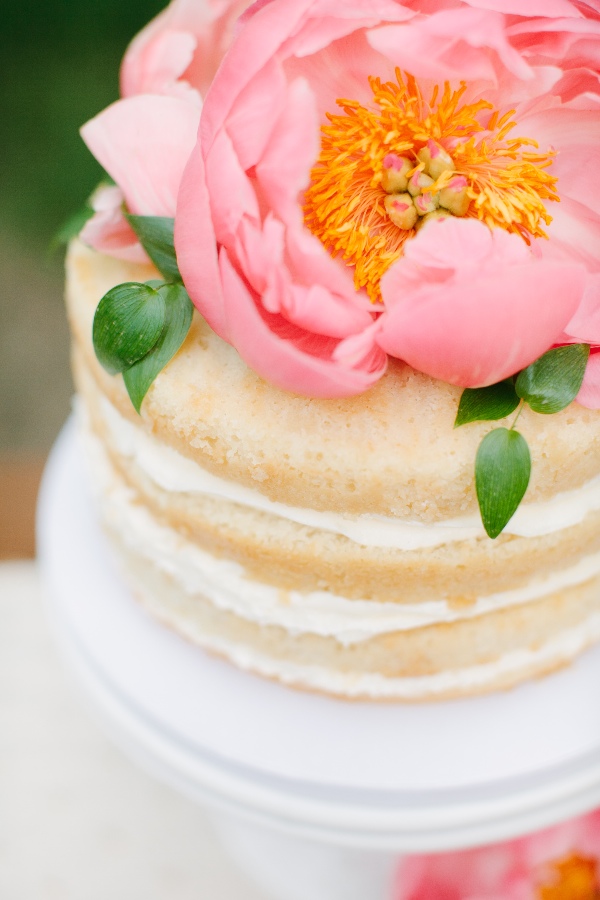 surprise-elopement