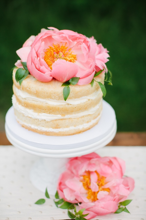surprise-elopement