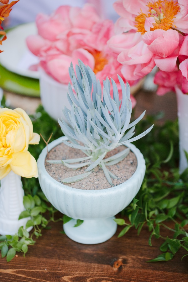surprise-elopement