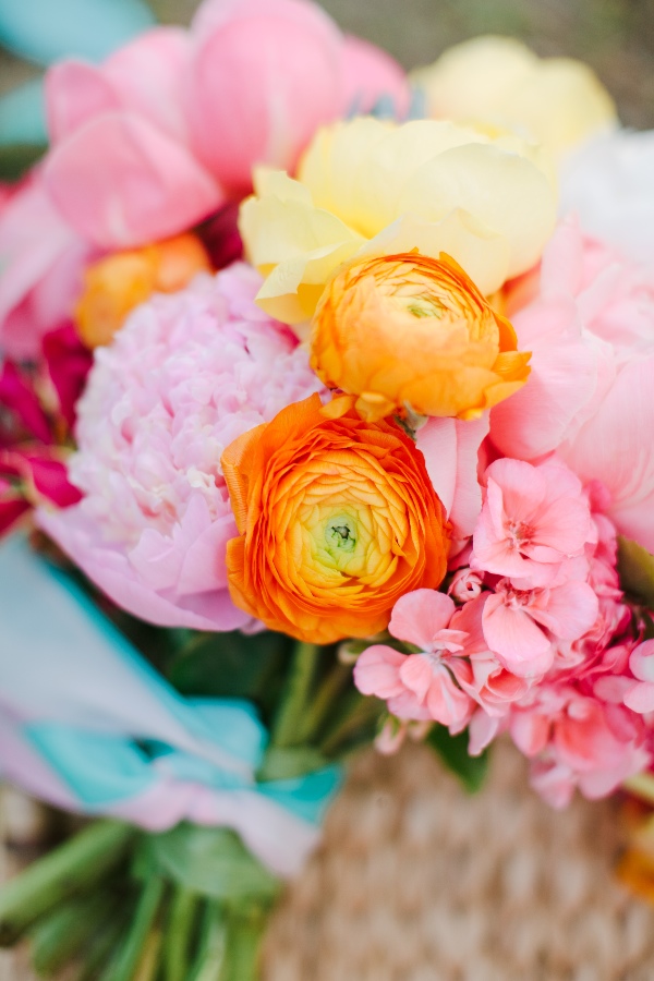 surprise-elopement