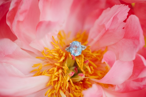 surprise-elopement