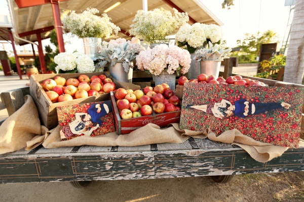 a-barn-made-beautiful-wedding
