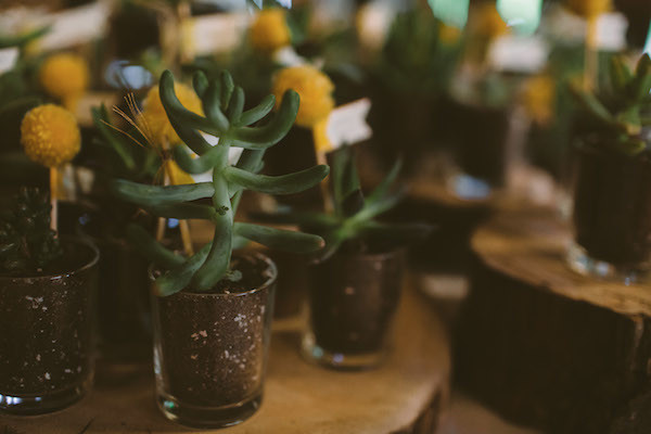 all-natural-barn-wedding-at-fallingwater