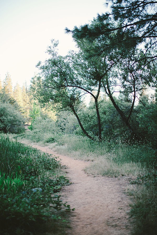 bold-and-earthy-woodland-wedding
