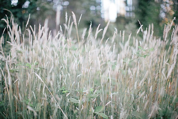 bold-and-earthy-woodland-wedding