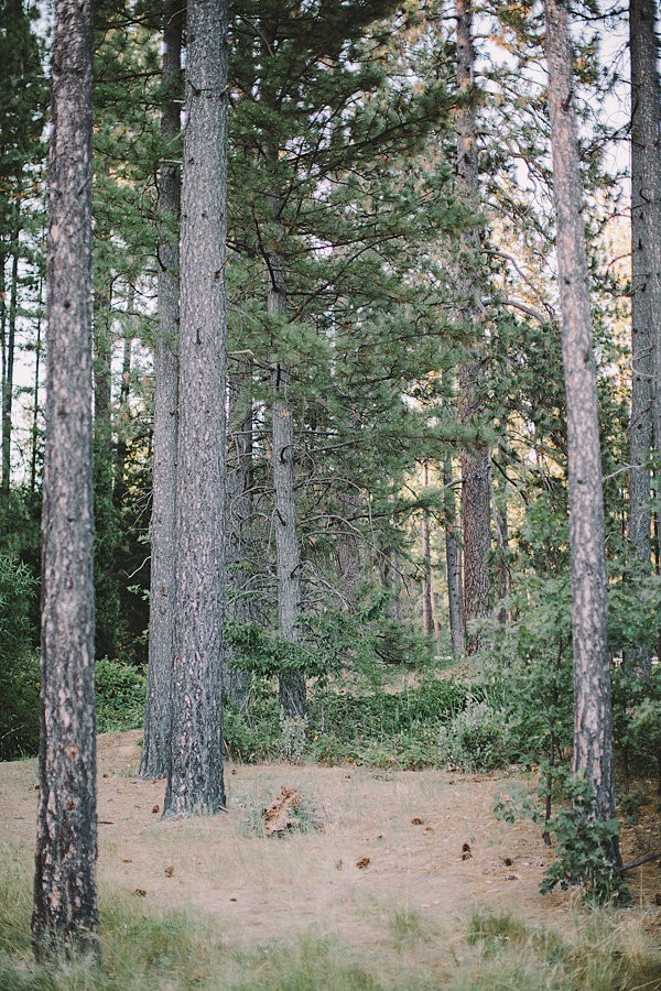 bold-and-earthy-woodland-wedding