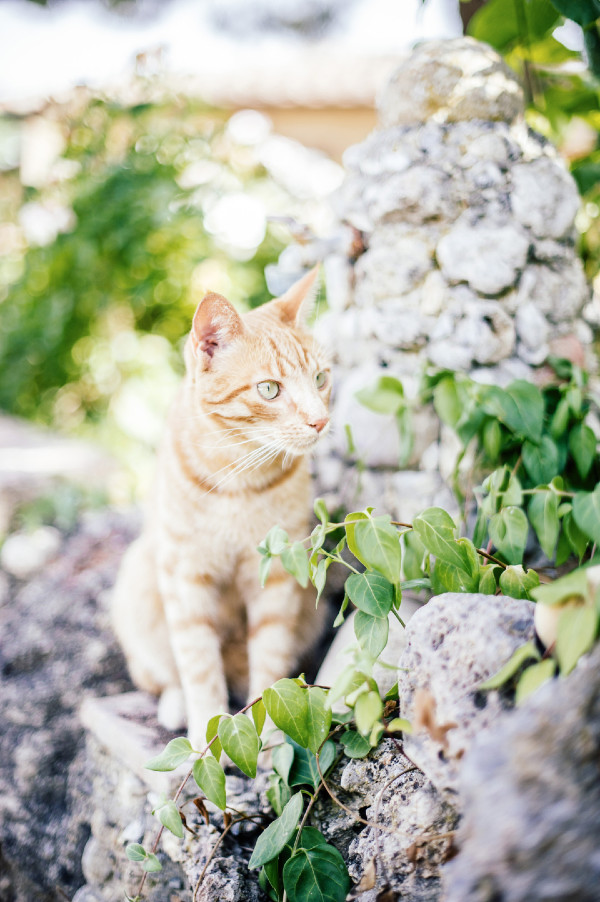 charming-garden-wedding-in-tuscany