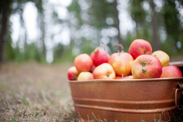 fall-inspired-wedding-ideas