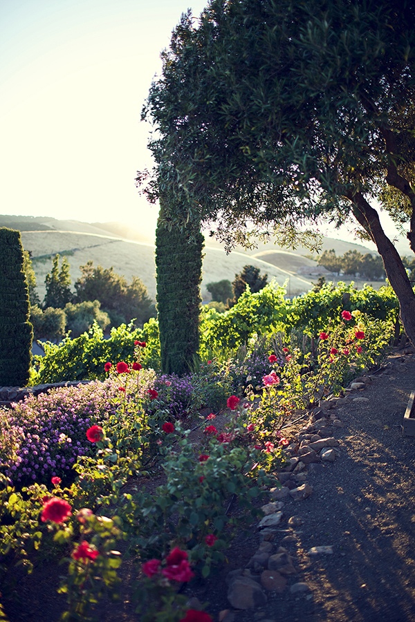 flawless-floral-wedding-at-the-viansa