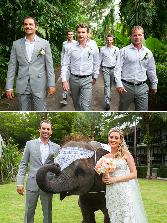 white and grey groomsmen and wedding elephant