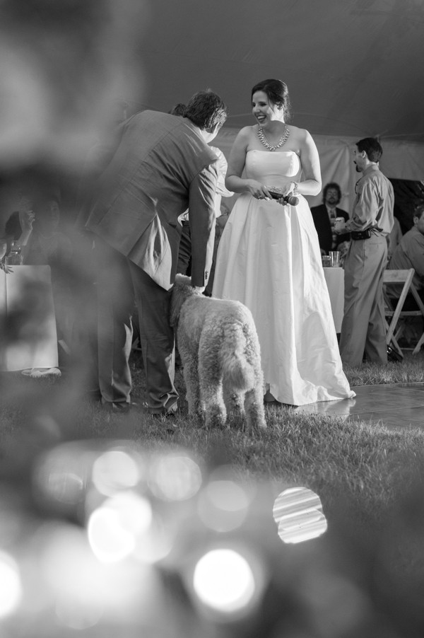 green-garden-party-wedding