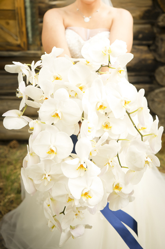 cascading orchid wedding bouquet