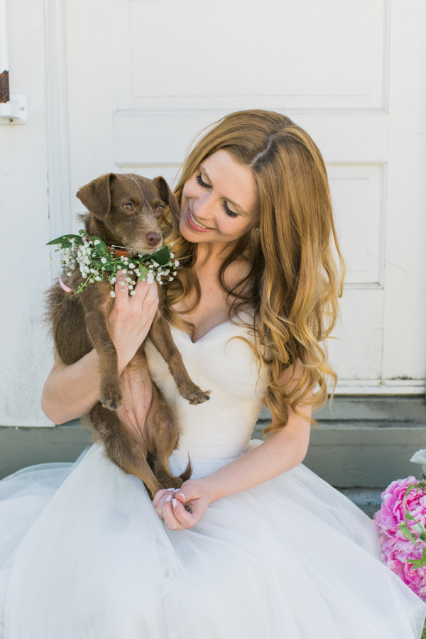 little-wedding-by-the-bay